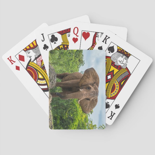 Vacker Elephant spelar i Grass Casinokort (Baksidan)