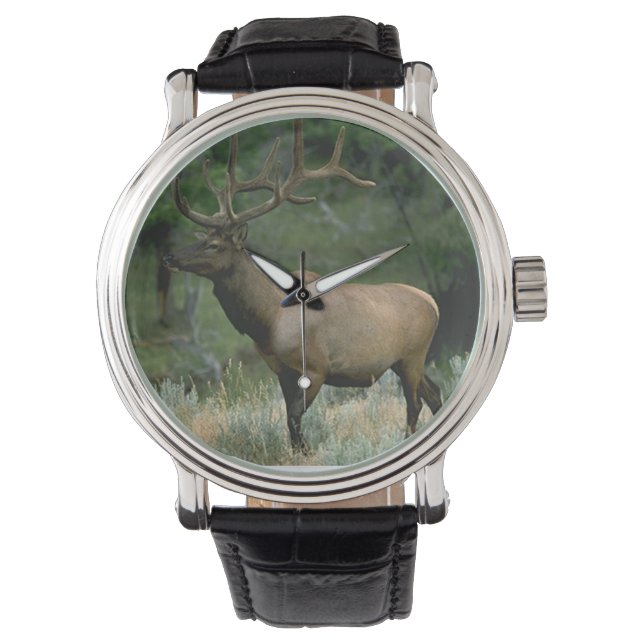 Vacker Elk Armbandsur (Framsida)