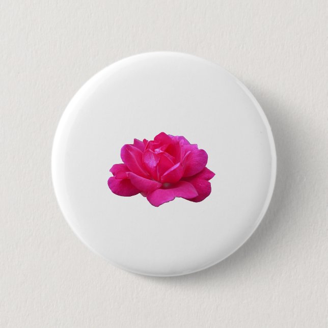 vacker ensam rosa rosblomma knapp (Framsida)