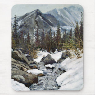 Vacker Estes Park Colorado Vinter Ström Mus Musmatta