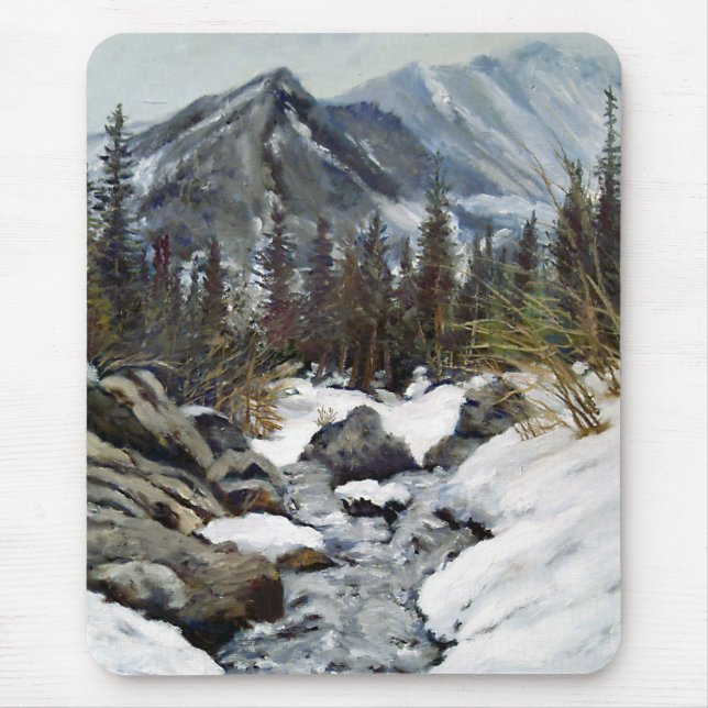 Vacker Estes Park Colorado Vinter Ström Mus  Musmatta (Framsidan)