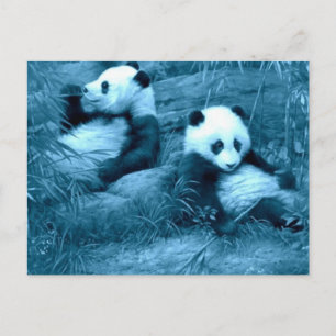 vacker fantastisk pandas vykort