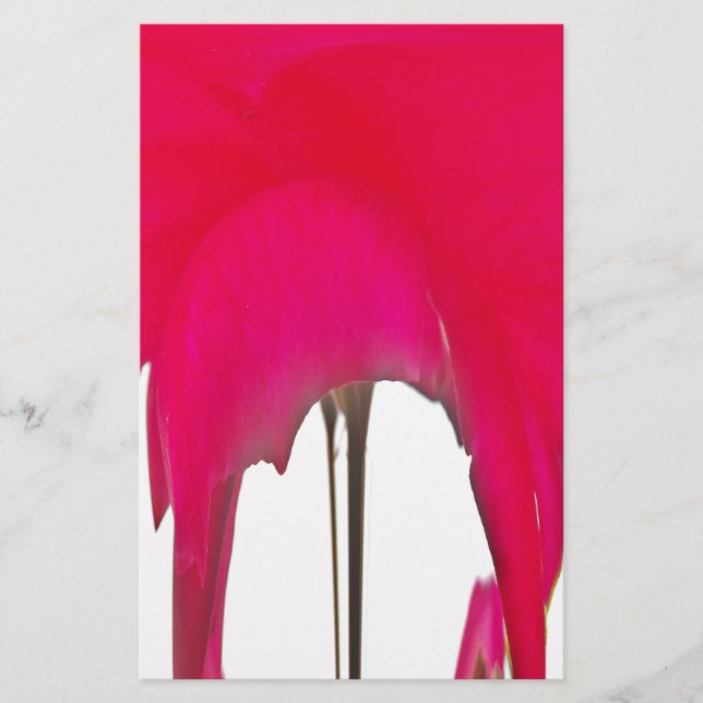 Vacker fantastisk Röd ros under det vita himlar Brevpapper (Framsida)