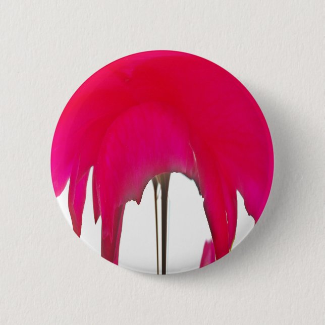 Vacker fantastisk Röd ros under det vita himlar Knapp (Framsida)