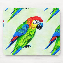 Vacker färgad papegoja Mönster