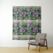 Vacker Färgrik Blomma