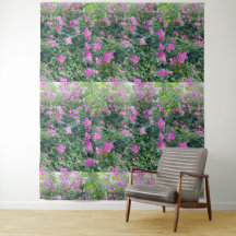 Vacker Färgrik Blomma