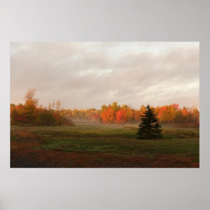 Vacker Farmland Misty Morgongudstjänst Poster