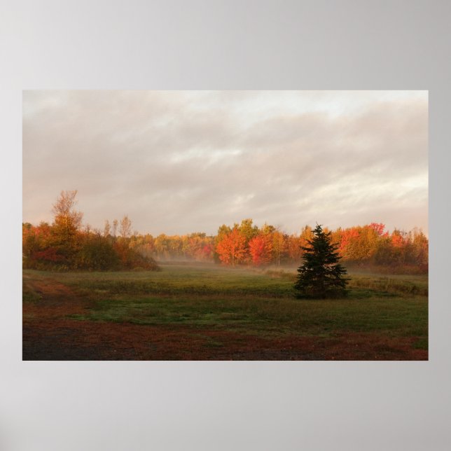 Vacker Farmland Misty Morgongudstjänst Poster (Framsidan)