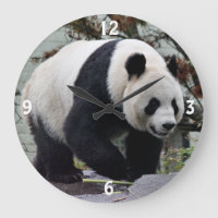Vacker Female Giant Panda