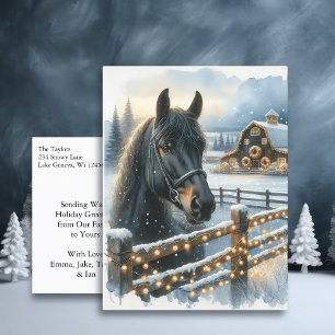 Vacker Festive Black Horse på juljulen Vykort