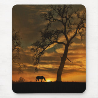 Vacker fin konst-fotografi Mousepad Musmatta