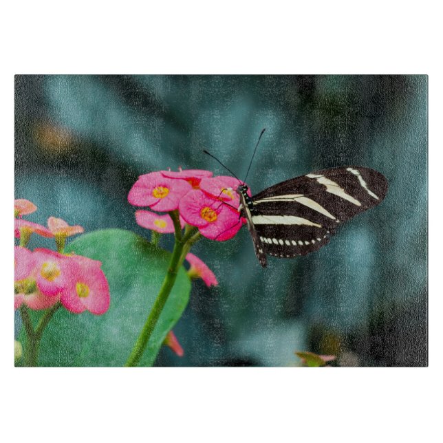 Vacker fjäril (Framsidan)