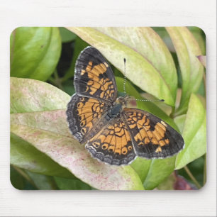 Vacker fjäril i Nature Mousepad Musmatta