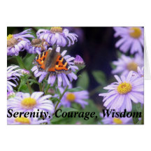 Vacker fjäril på blommor