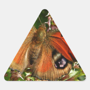Vacker fjäril på blommor triangelformat klistermärke