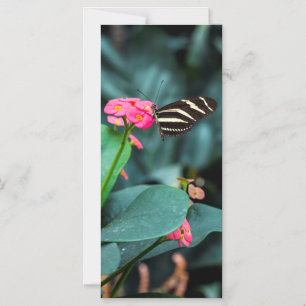 Vacker fjäril på en rosa blomma magnetisk inbjudningskort