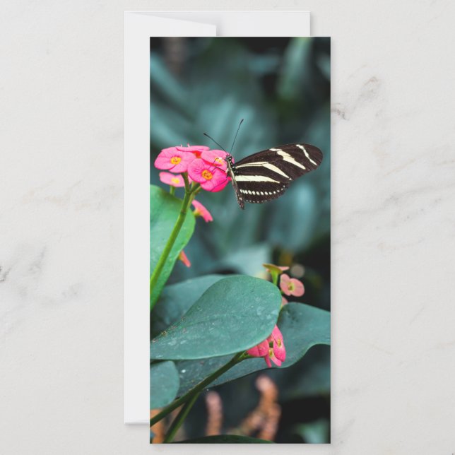 Vacker fjäril på en rosa blomma magnetisk inbjudningskort (Framsida)