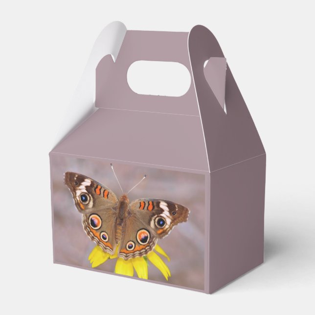 Vacker fjäril på gul blomma  presentaskar (Framsidan Sidan)