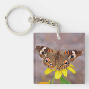Vacker fjäril på Gult Flower