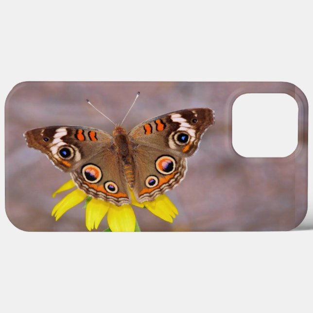 Vacker fjäril på Gult Flower (Baksida (horisontell))