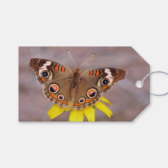 Vacker fjäril på Gult Flower Presentetikett (Framsidan (Horisontell))