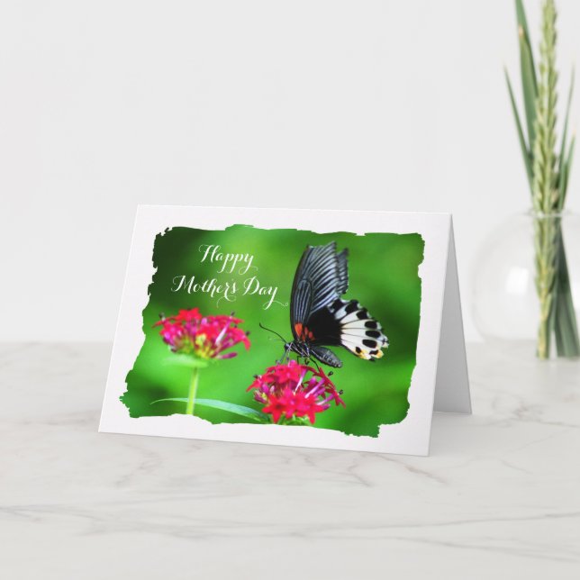Vacker Fjäril (Stora Mormon) Mors dag Kort (Framsida)