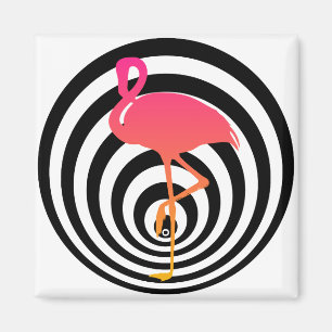 Vacker flamingo i cirklar magnet