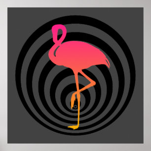 Vacker flamingo i cirklar poster