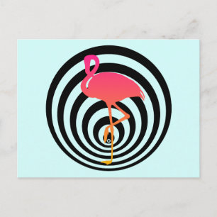 Vacker flamingo i cirklar vykort