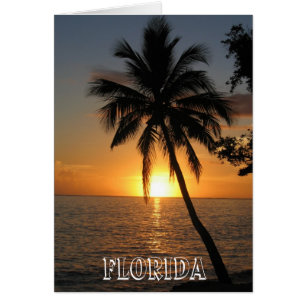 Vacker Florida Hälsningskort