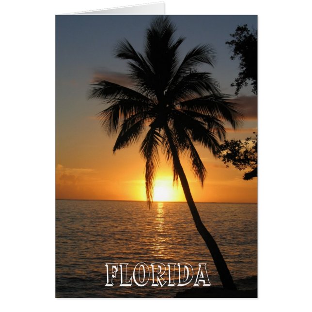 Vacker Florida Hälsningskort (Framsidan)
