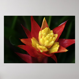 Vacker Flower Poster