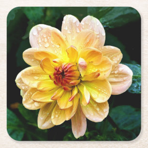 Vacker Flower Underlägg Papper Kvadrat