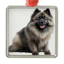 VACKER FLUFFIG KEESHOND VALP HUND