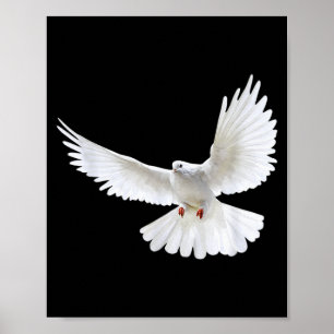Vacker Flygande Fredlig Vit Duv Foto Silhuett Poster