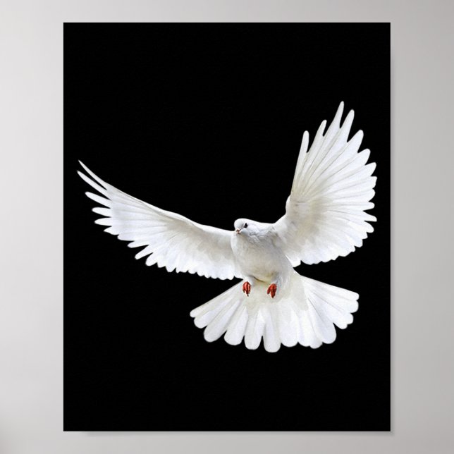 Vacker Flygande Fredlig Vit Duv Foto Silhuett Poster (Framsidan)