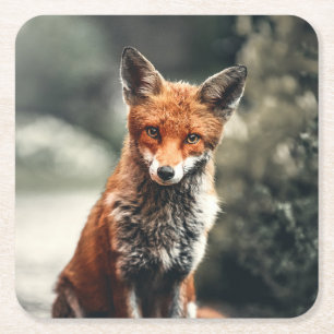 Vacker Fox i Vilden Underlägg Papper Kvadrat