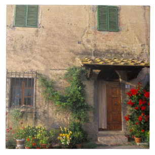 Vacker gammal hem med blommor vid San Gimignano Kakelplatta