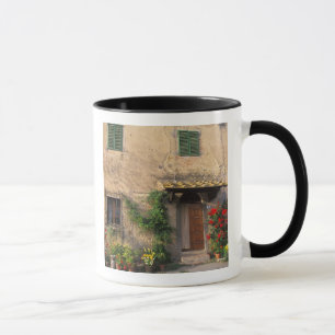 Vacker gammal hem med blommor vid San Gimignano Mugg