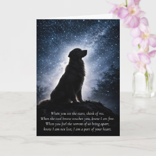 Vacker Golden Retriever Sympati Kondoleanser Kort