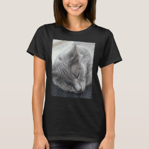 Vacker grå katt sovande fotografi t shirt