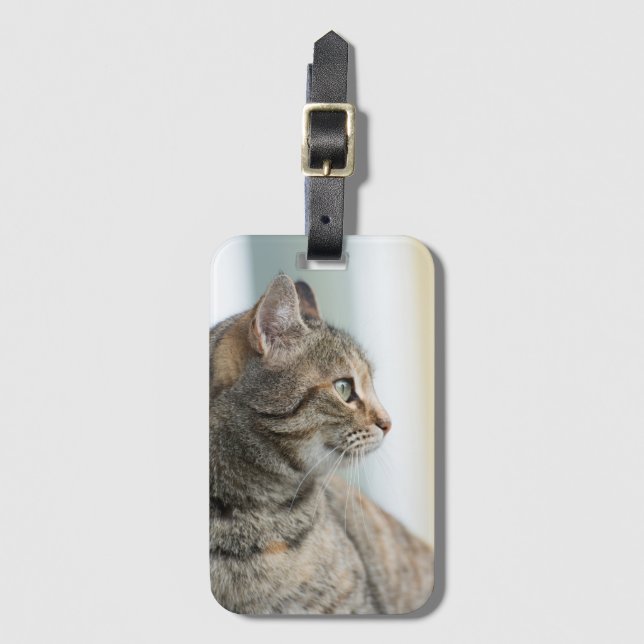 Vacker grått-katt bagagebricka (Framsida vertikal)