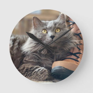Vacker Grått Nebelung Long Hair Russian Blue Cat Rund Klocka