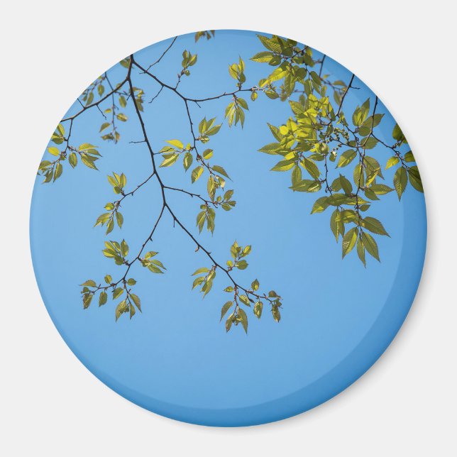 vacker gren med grönt och gult löv hugg magnet (Framsidan)
