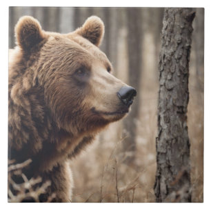 Vacker Grizzly Bear Porträtt Brown Bear 3a Kakelplatta