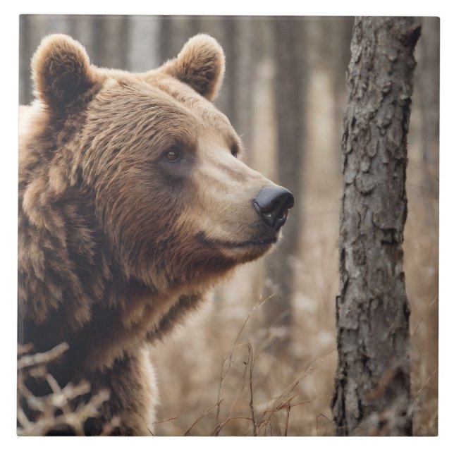 Vacker Grizzly Bear Porträtt Brown Bear 3a Kakelplatta (Framsidan)