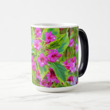 Vacker Grön Weigela med karmosinröda blommor