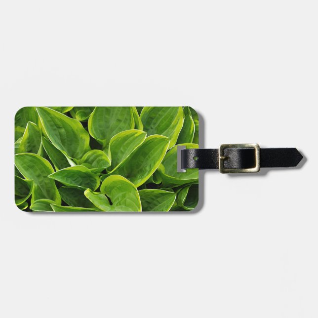 Vacker grönt hosta-anläggning bagagebricka (Horisontell Framsida)