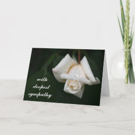 Vacker Grönt Löv Vit ros Flower Sympathy Kort